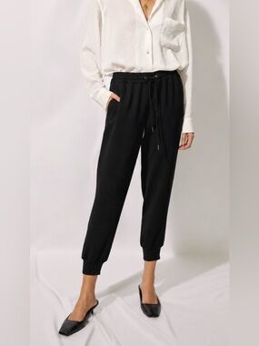 Aritzia Wilfred Buffon Crepe Jogger - Blue/Grey - Size M